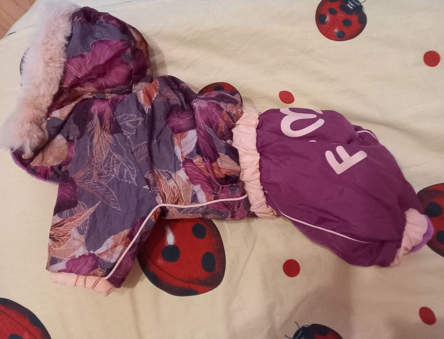 Комбенизон для  маленькой собаки(девочки)