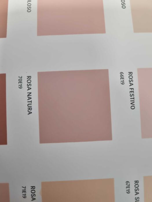 Tinta exterior robialac aquarepel 5L rosa natura