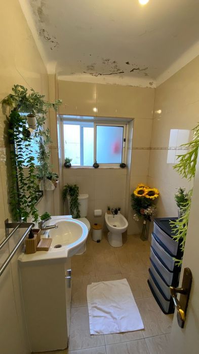Quarto individual