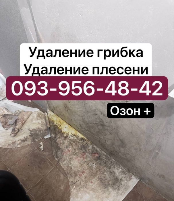 Удаление плесени Удаление грибка Видалення грибка Видалення плісняви