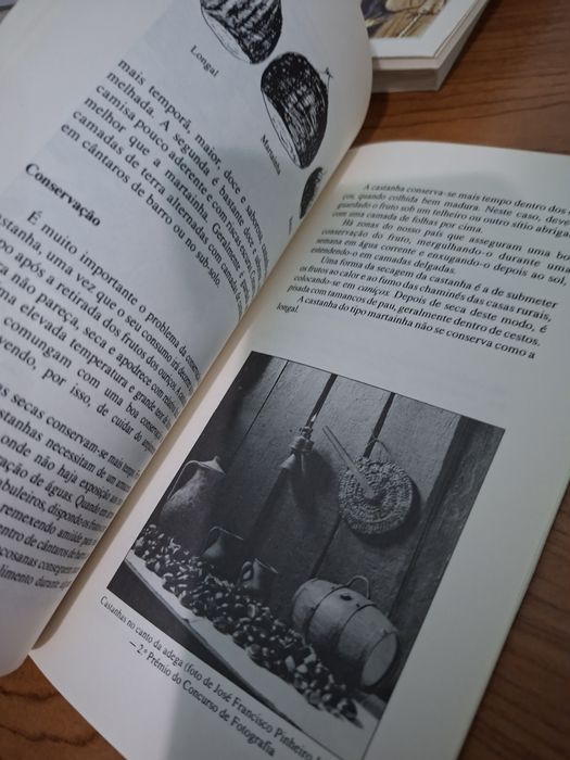 O Ciclo da Castanha por Terras de Trancoso