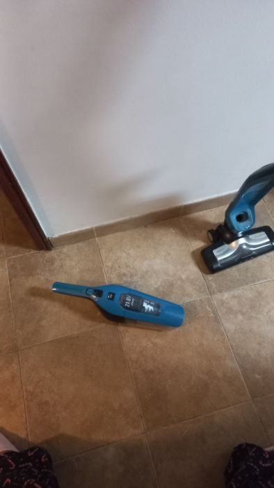 aspirador vertical rowenta dual force