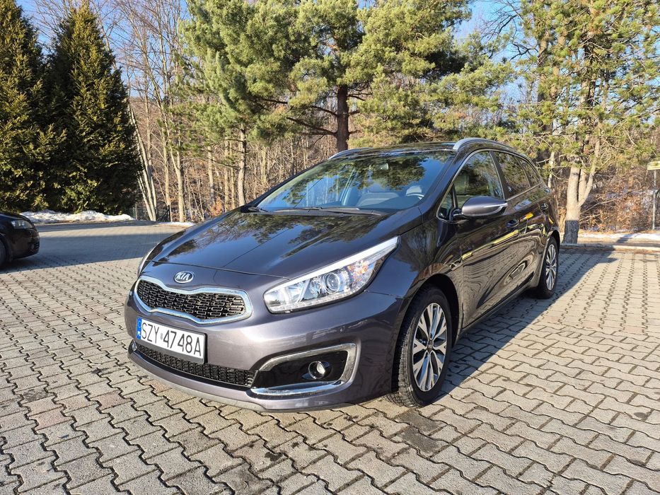 Kia Ceed Kia Ceed 1.6 Benzyna  2017r Bogate wyposażenie