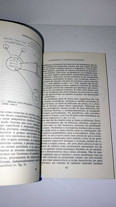 A Adaptação e a invenção do Futuro