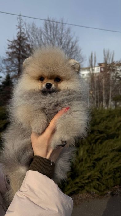 Здійснюйте своі мріі!