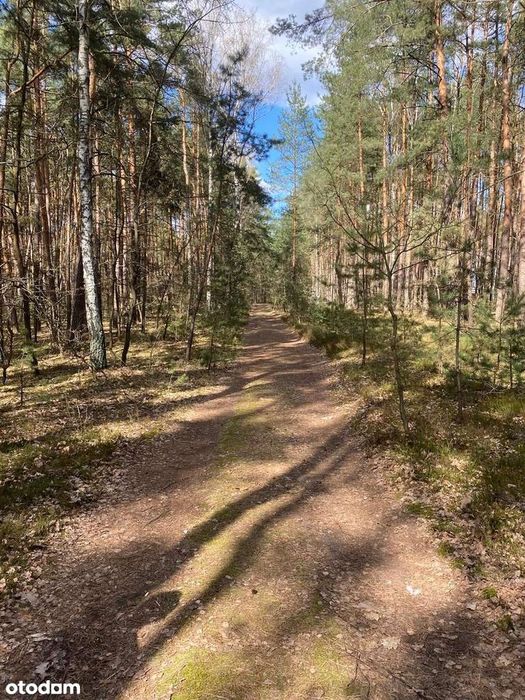 Osiedle Wilga, działka 2552 m², ul. Konwaliowa - Widok 3