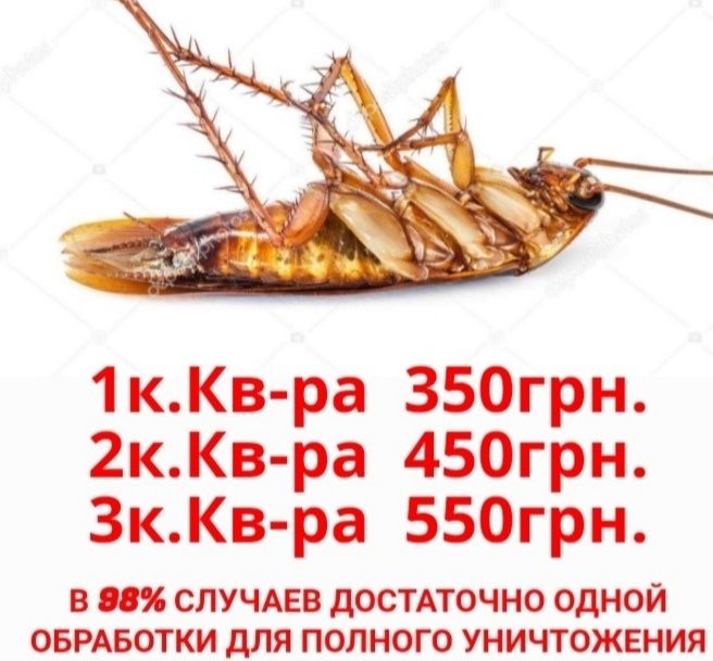 Уничтожение Травля Потравить Тараканов Прусаков Клопов Блох Комаров тд