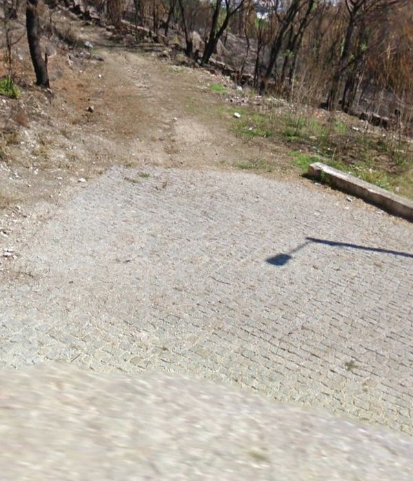 Permuto terreno com 5 hectares em Sequeira (Braga)