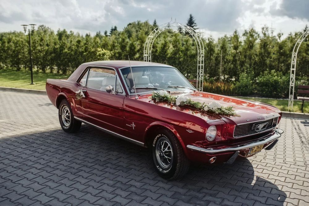 Ford Mustang Ford Mustang V8 po renowacji 1966