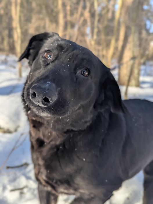 Ugra czeka na swoich ludzi!