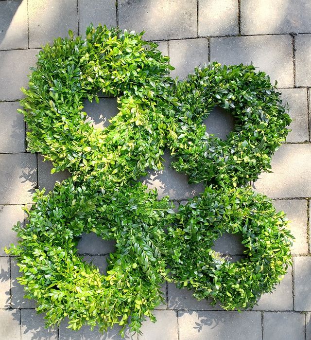 Wianki z żywego bukszpanu