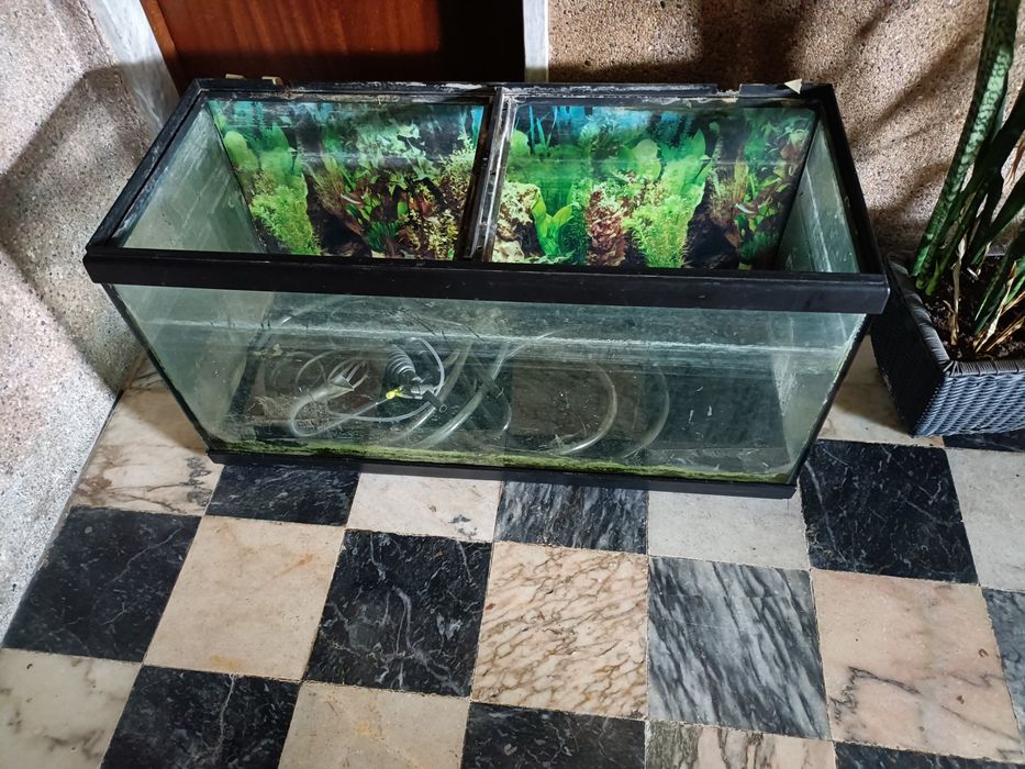 Aquário 100x40x45