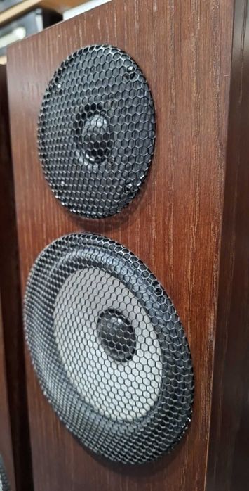 Pylon Audio Ruby 25 kolor walnut