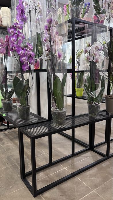 Стелаж для квітів / Підставки для квітів / Меблі для квіткового