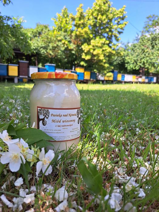 Miód wiosenny naturalny