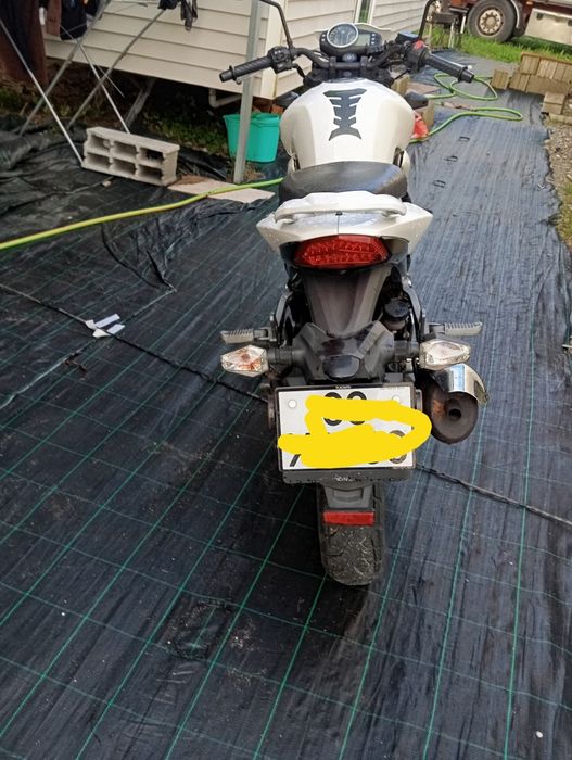 SYM Wolf 125 2019