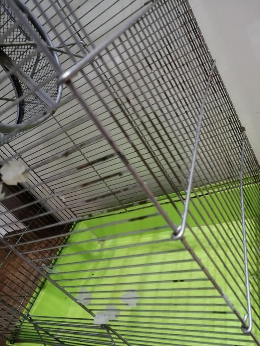 Klatka dla chomika
