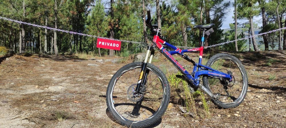 Cannondale Prophet