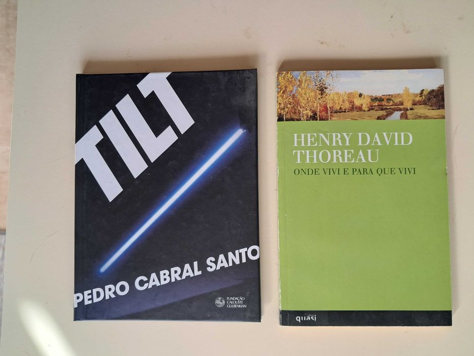 Livros de cinema, arte, banda desenhada, literatura e outros ensaios