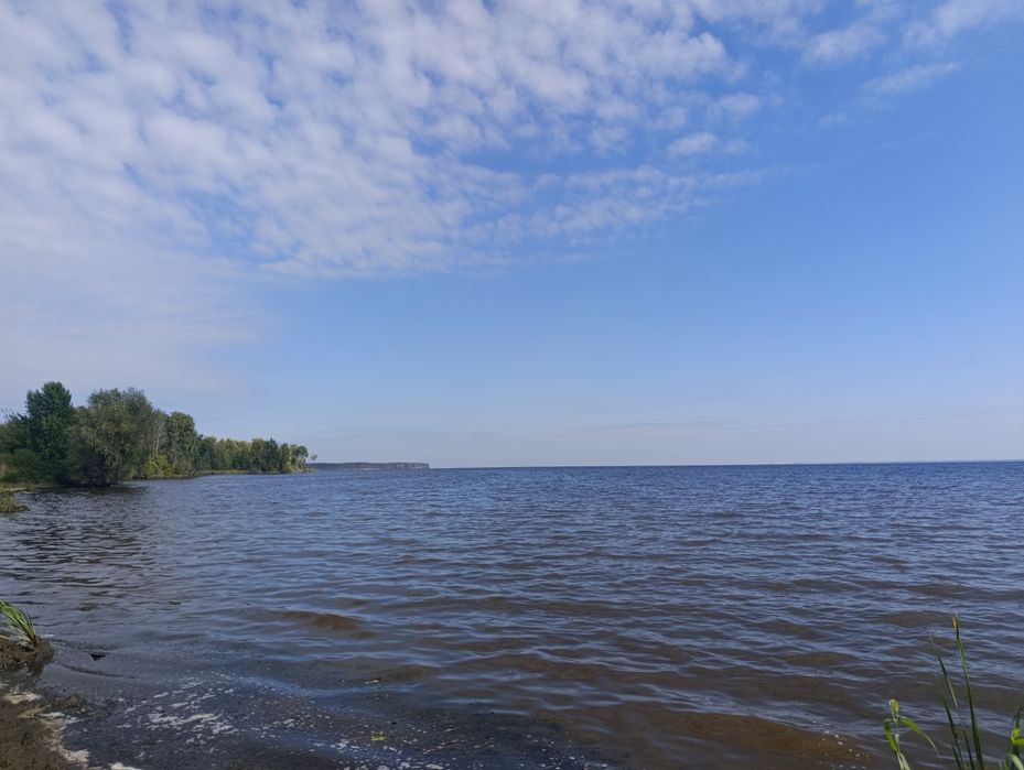 Продаж земельної ділянки в с. Сухолуччя без комісії!