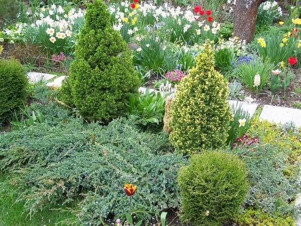 Дом по адресу (площадь 35 м²) - Atlanta.ua - фото 16