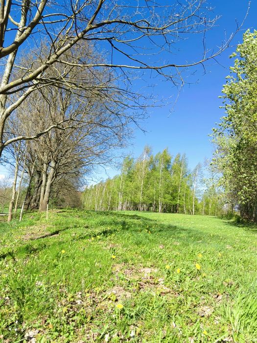 Sprzedam działki budowlane