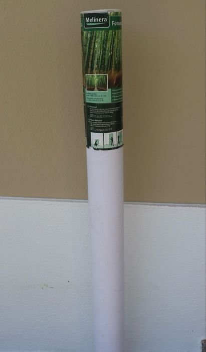 Papel de Parede Bambu