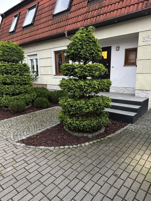 Komfortowy dom. Wysoki standart