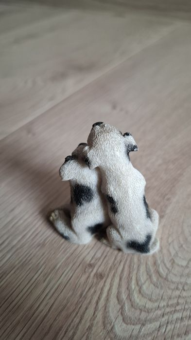Pieski piesek dalmatyńczyk