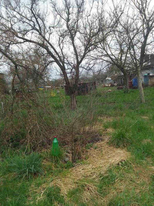 Продам будинок смт Людвинівка вул. Центральна