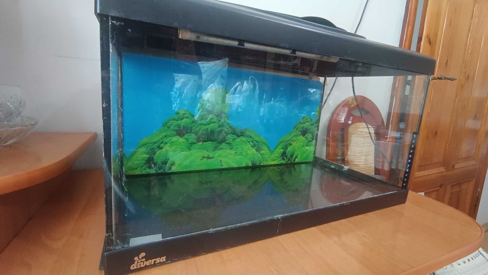 akwarium diversa