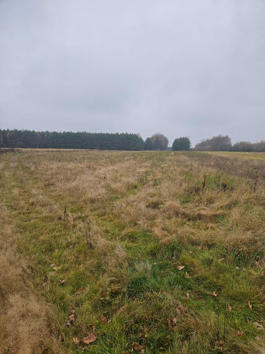 Działki na sprzedaż Trzeboś