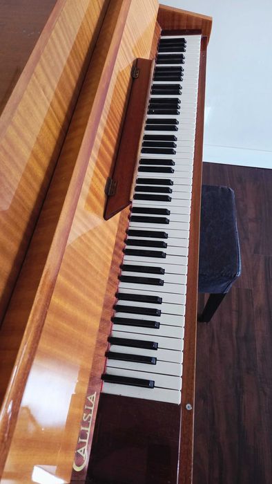 Pianino Calisia Nokturn
