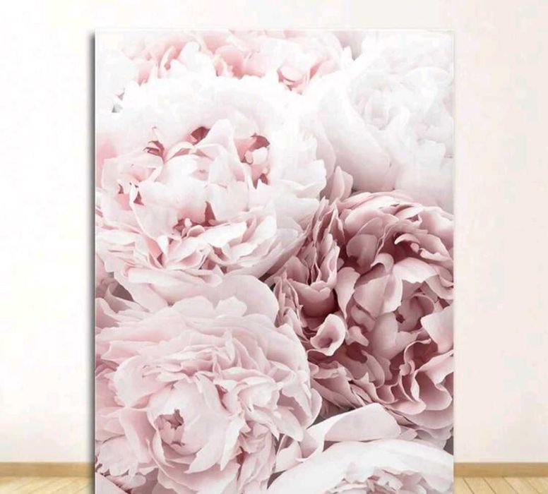 Dekoracja ścienna plakat na płótnie różowe piwonie 50x70cm do salonu