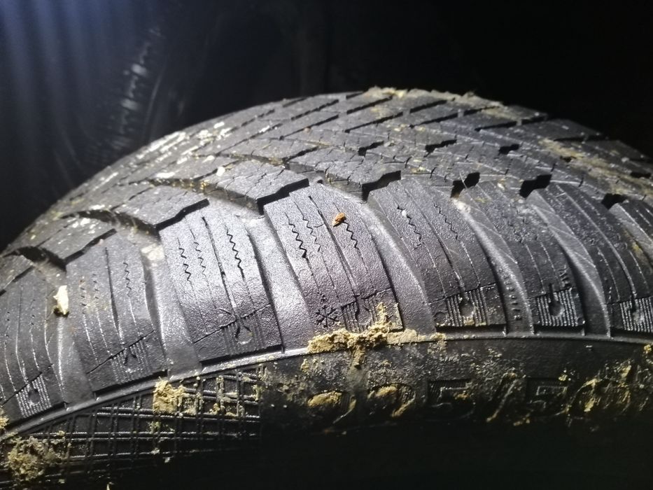 Зимня гума Continental 225 50 17 98H extra load m+s