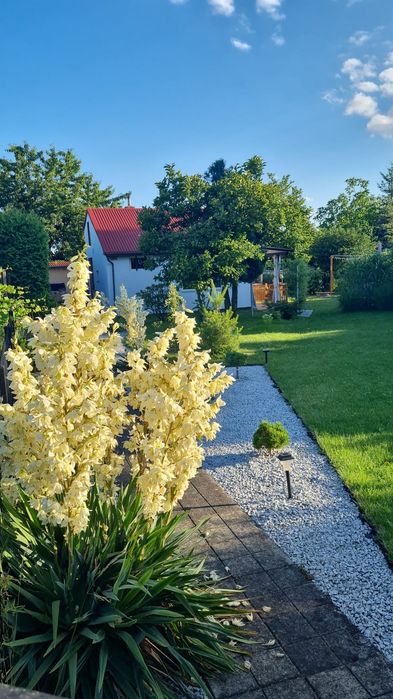 Działka ROD "Kaczorownia" Zdzieszowice