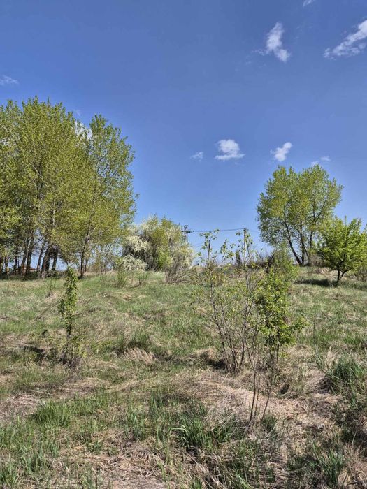 Продам земельну ділянку село Безп'ятне