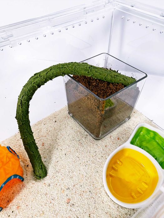 Акриловый террариум для рептилий,пауков,улиток "Спанч Боб", 30х20х15см