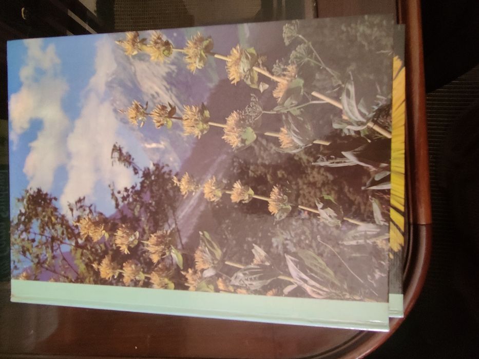 Coleção de 8 Livros "As Plantas Nossas Amigas"