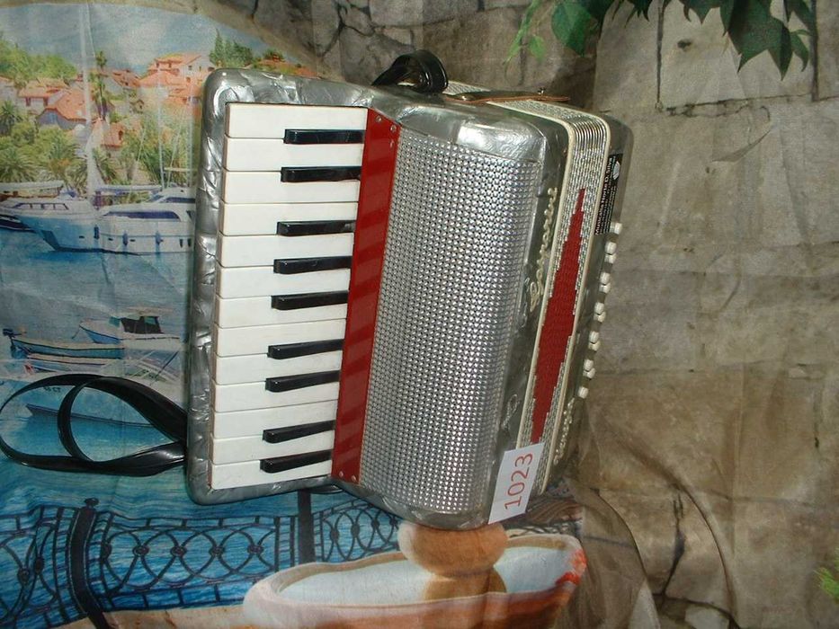 Promoção de Acordeões de concertinas