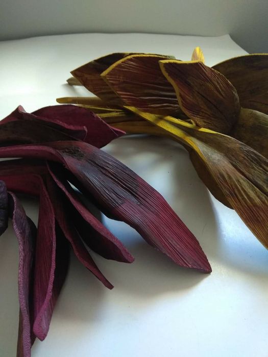 Folhagem/galhos secos preservados