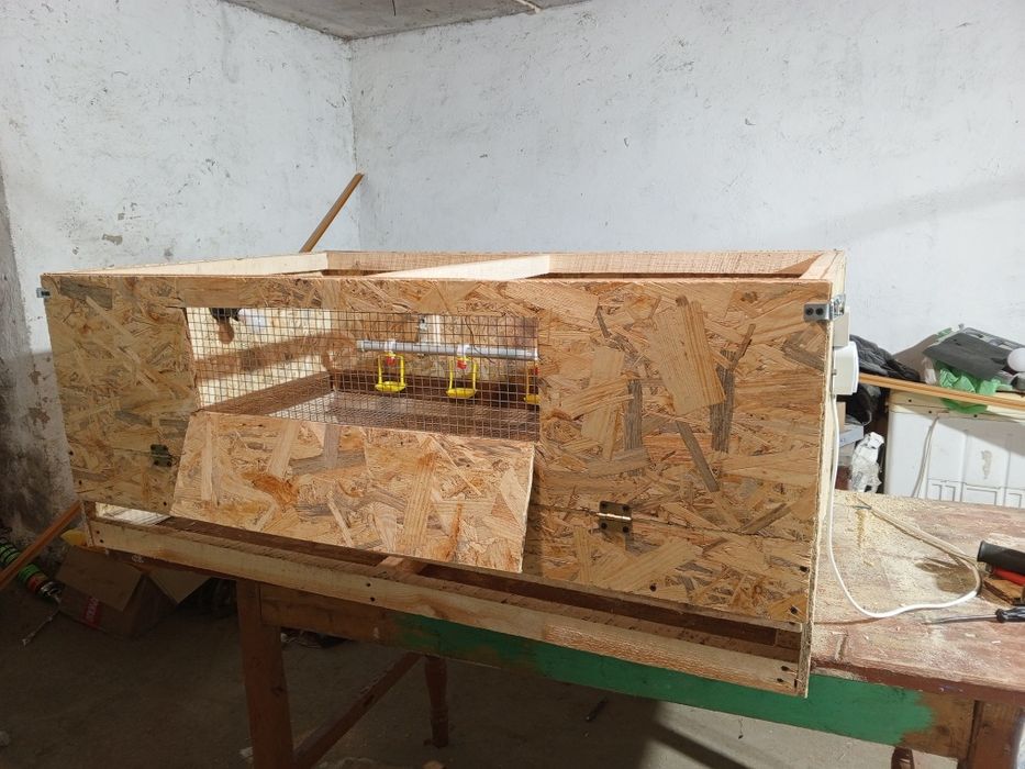 Брудер для курчат