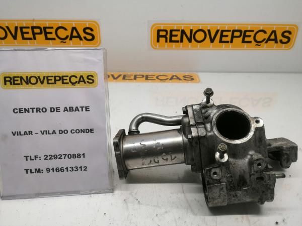 Válvula EGR RENAULT Megane II (BM0/1_, CM0/1_)