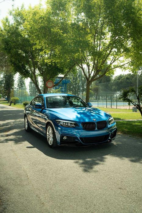 BMW F22 230i 2019
