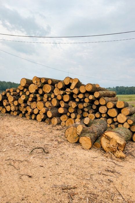 Rąbanie i cięcie drewna - solidnie i terminowo
