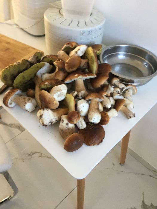 Borowiki suszone krajanka