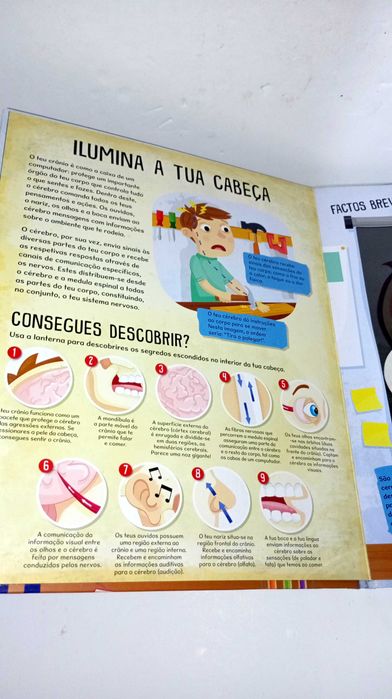 Corpo Humano - Livro com lanternas