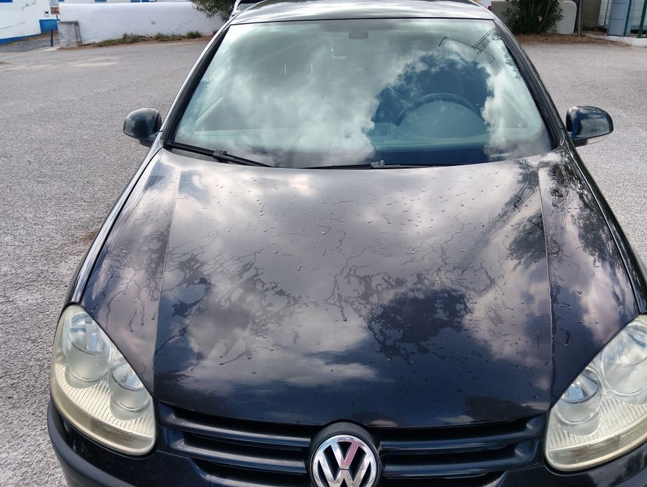 Vw Golf V 1.9 TDI 105 cv