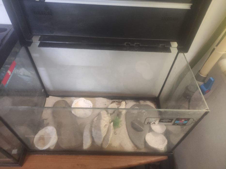 Venda de aquário para desocupar