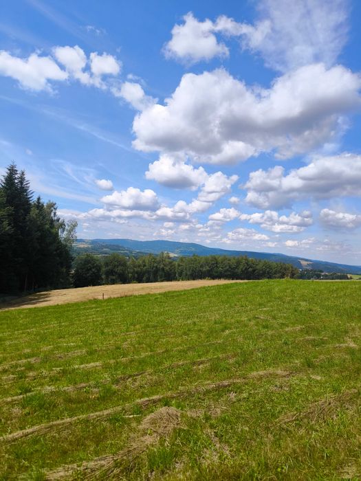 Działka budowlana - Widok 5